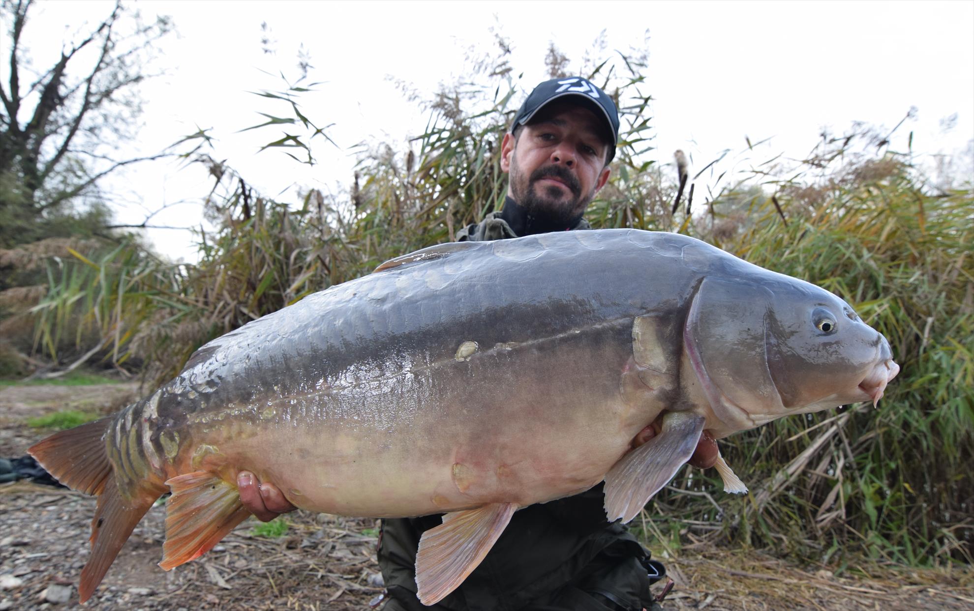 Pont pentru apa rece. Fierbeti CSL-ul!